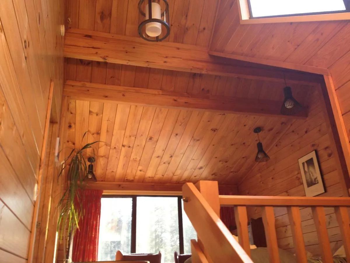 Semesterbostad Walnut Grove Lodge Christchurch